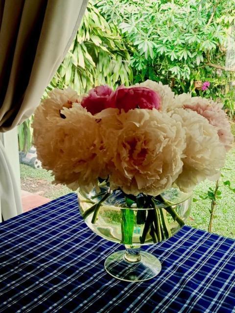 Bamboo Garden Resort Phu Quoc Exterior foto